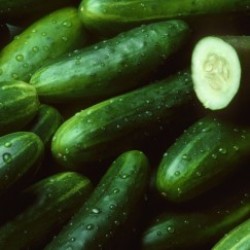 CUCUMBER FRUIT EXTRACT (CHIẾT XUẤT DƯA LEO)